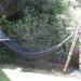 Hammock in the Yard