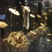 Gold of Africa Museum