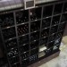 Savoy Cabbage