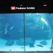 Two Oceans Aquarium