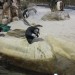 Two Oceans Aquarium