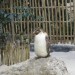 Two Oceans Aquarium
