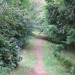 Walking Path