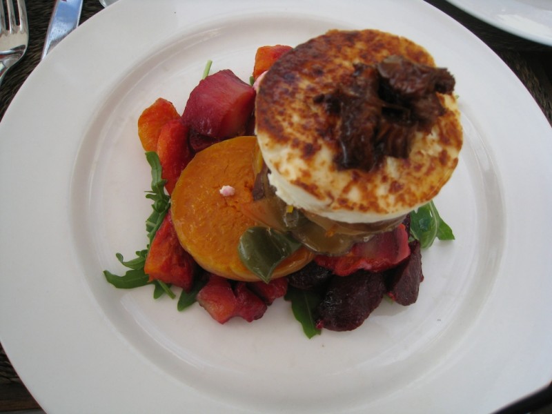 Ginger Port Elizabeth South Africa Modern Overland