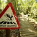 Warning!