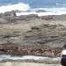 Tsitsikamma National Park