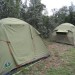 Bushcamp