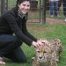 The Dell Cheetah Centre