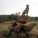 Cheetah Centre