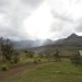 Cathedral Peak Nature Reserve