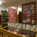 MOTH Museum