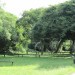 Eden Park
