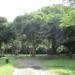 Eden Park