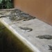 KZN Crocodile Centre