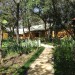 Gecko Lodge