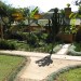 Gecko Lodge