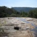 Gecko Lodge
