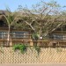 Bundu Country Lodge