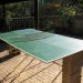 Table Tennis