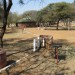 Braai