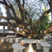 Olifantshuis Restaurant