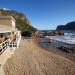 Cornuti Knysna