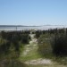 Beach View