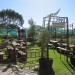 Tea Garden