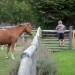 The Farm