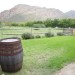 The Farm