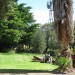 Lawn