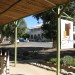 Café Albert