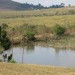 Pond