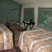Safari Tent