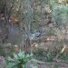 Stream
