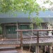 Safari Tent